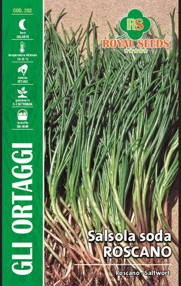 Roscano - Saltwort - Royal Seed RYMO1/10 Garden Plus