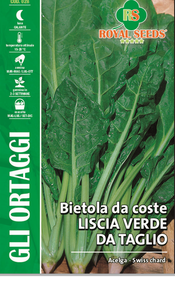 Swiss Chard - Liscia Verde Da Taglio - Royal Seed RYMO14/1 Garden Plus