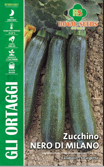 Zucchini Nero di Milano - Royal Seed RYMO146/1 Garden Plus