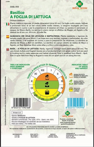 Albahaca Basil - Royal seed RYMA13/3 Garden Plus