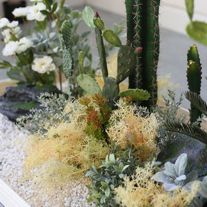 Artificial Landscape Set Tropical Cactus Planter Flower Decoration Piece Garden Plus