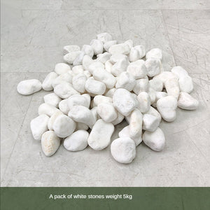 Artificial Landscape Set Tropical Cactus Planter Flower Decoration Piece Garden Plus