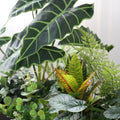 Artificial Outdoor Flower Box Partition Greenery Combination Decoration Pieces Garden Plus