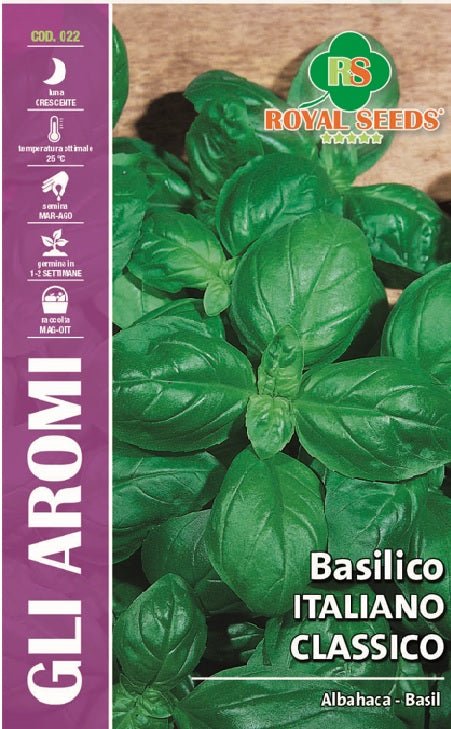 Basil Classico Italiano - Royal seed RYMA13/2 Garden Plus