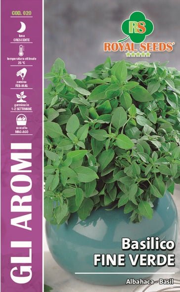 Basil fine Green - Royal seed RYMA13/1 Garden Plus