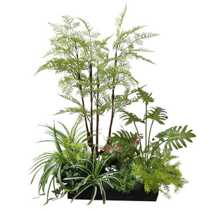 Bonsai Botanical Garden View Plant Decoration Piece Garden Plus