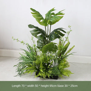 Bonsai Botanical Garden View Plant Decoration Piece Garden Plus