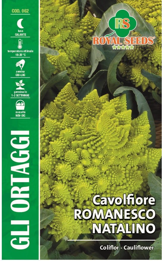 Cauliflower Romanesco San Giuseppe - Royal Seed RYMO30/58 Garden Plus