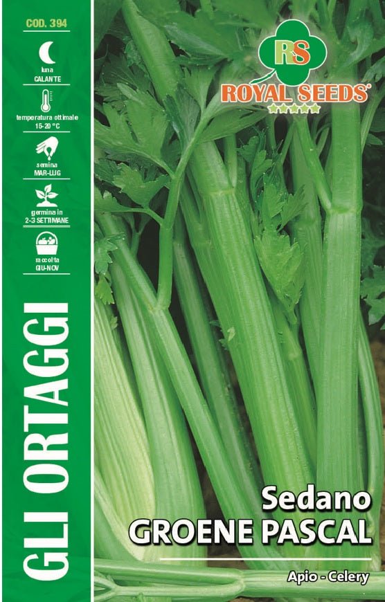 Celery- Royal Seed RYM124/6 - COD.394 Garden Plus