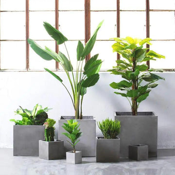 Cement planter square Garden Plus