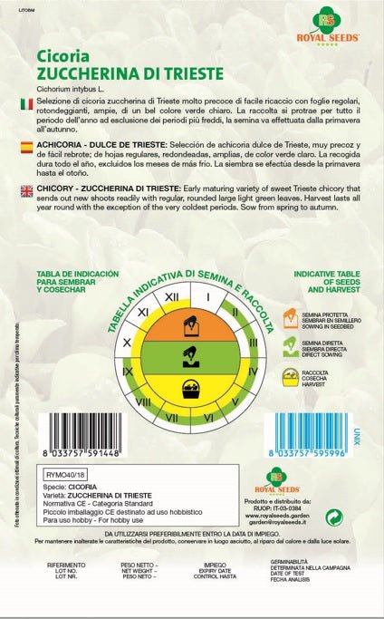 Chicory - Zuccherina Di Trieste - Royal Seed RYMO40/18 Garden Plus