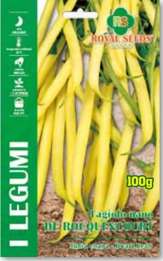 Dwarf Bean - Burro Di Rocquencourt - Royal Seed ARY 60/23 Garden Plus