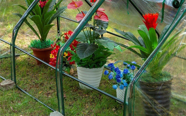 Triangular Freeze Insulation Cover Plant Greenhouses Garden Plus