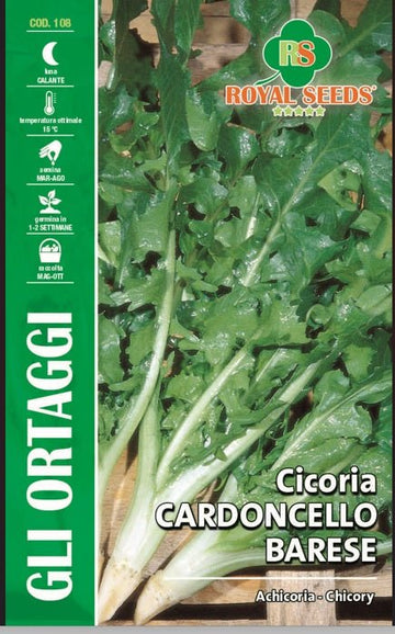 Endive Scarola - Royal Seed RYMO121/21 Garden Plus