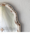 French Style Retro Full-Length Wall Hanging Mirror Garden Plus