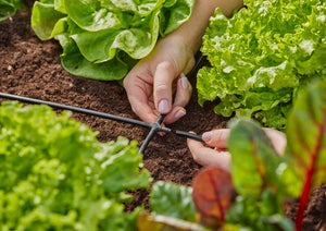 Gardena 4-Way Coupling 4.6 mm (3/16") Garden Plus