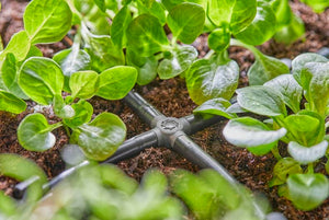 Gardena 4-Way Coupling 4.6 mm (3/16") Garden Plus