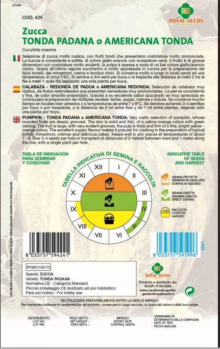 Pumpkin Tonda Padana - Royal Seed RYMO145/13 - COD.424 Garden Plus
