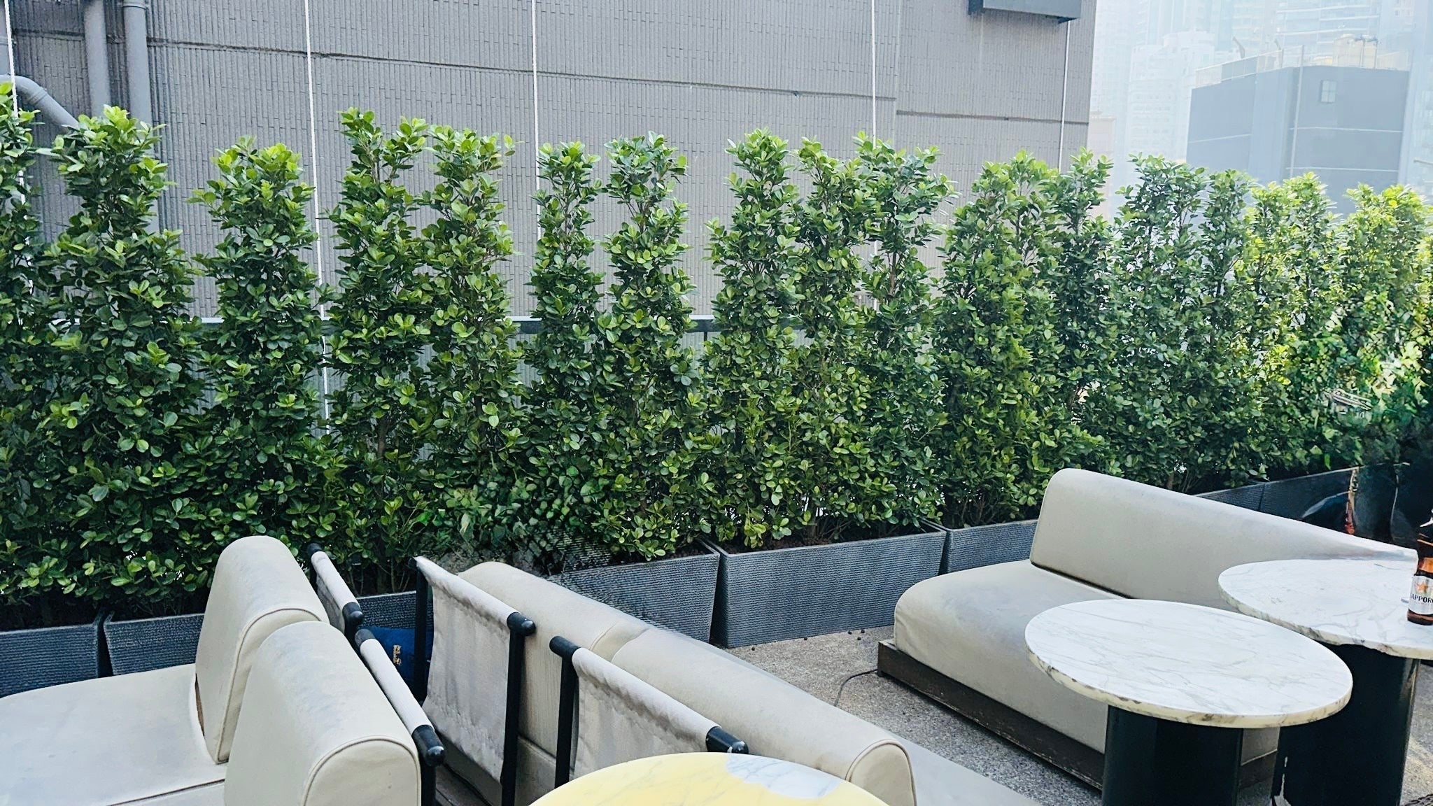 Lush Screens for Urban Rooftop Lounges in Central