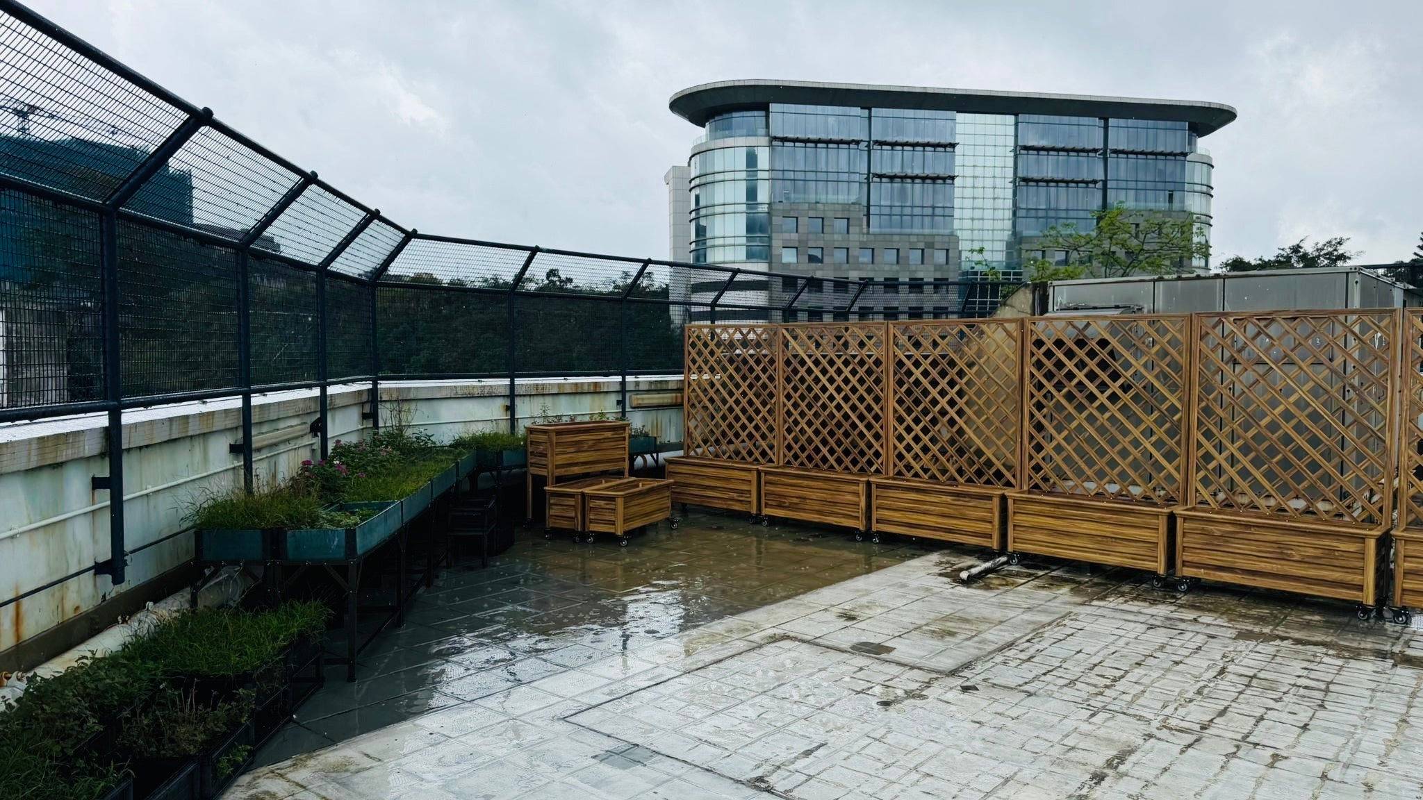 Planter with Trellis Brings Nature to Sai Kung School