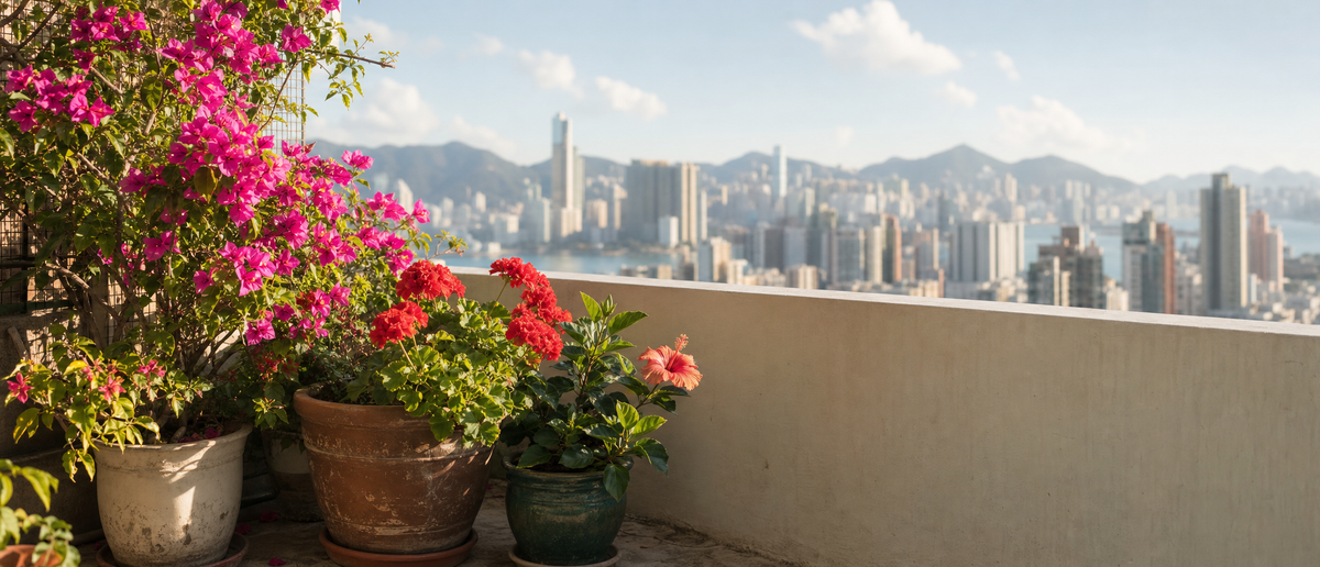 balcony-plants banner