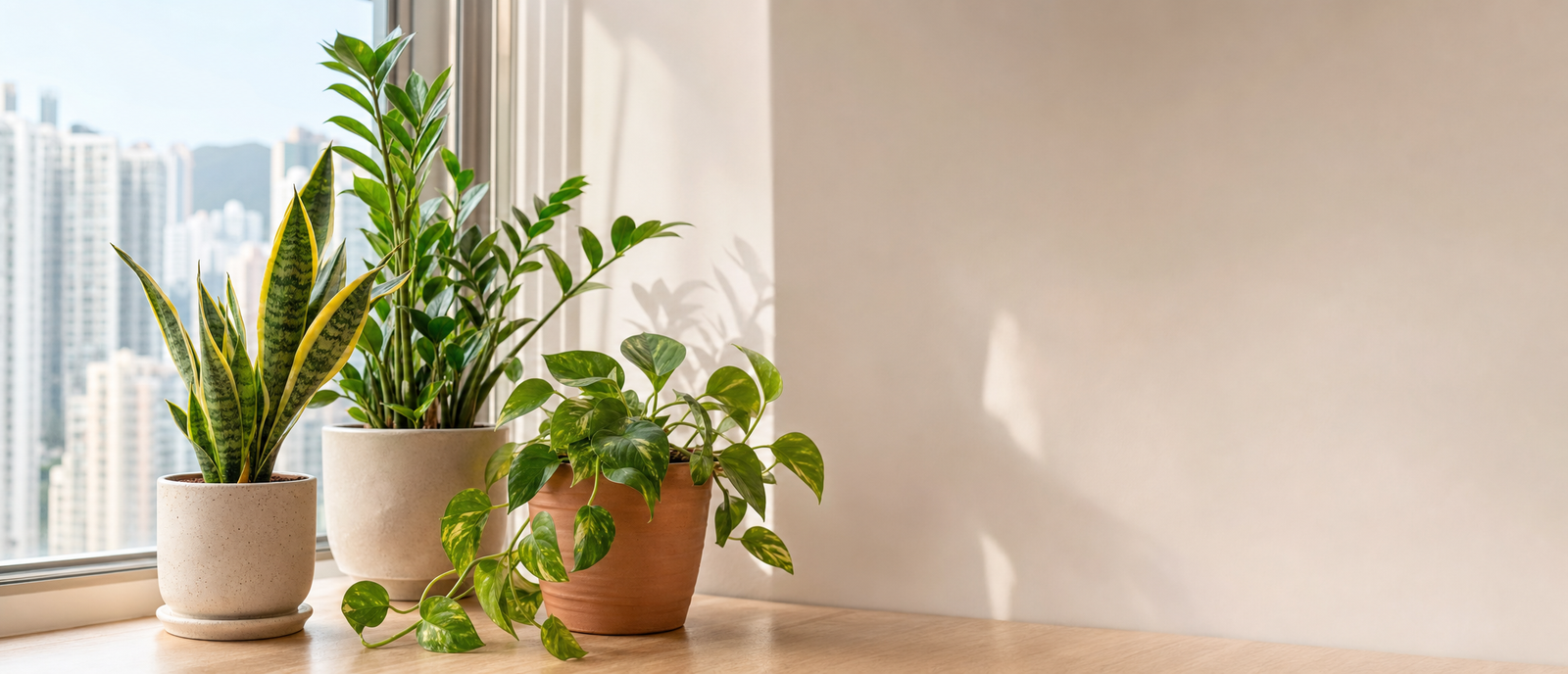 easy-care-plants banner
