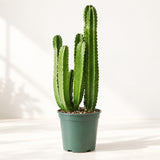 01-hero