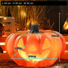 Large Flat Pumpkin