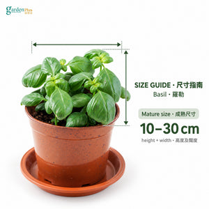 04-size-web
