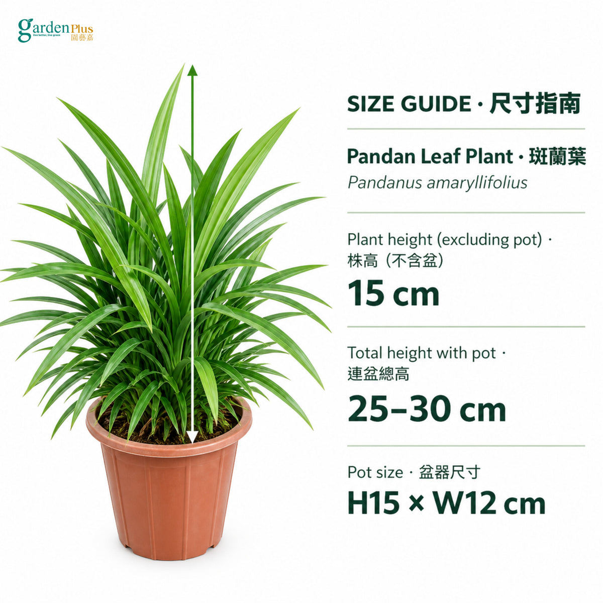 04-size-web