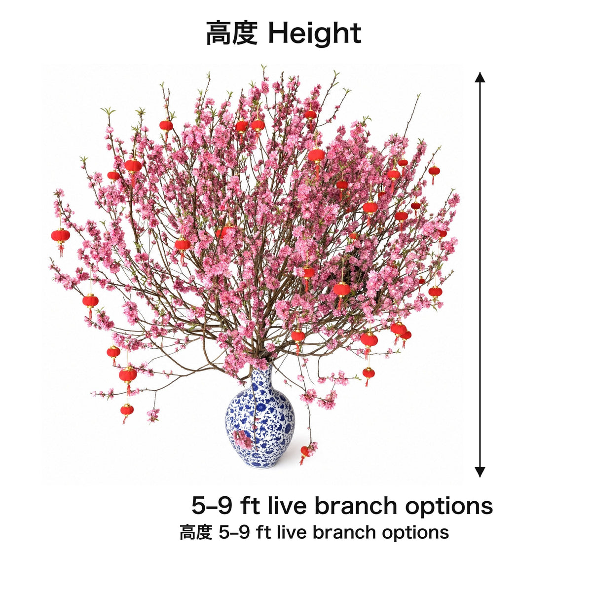 04-size-web