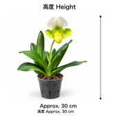 04-size-web