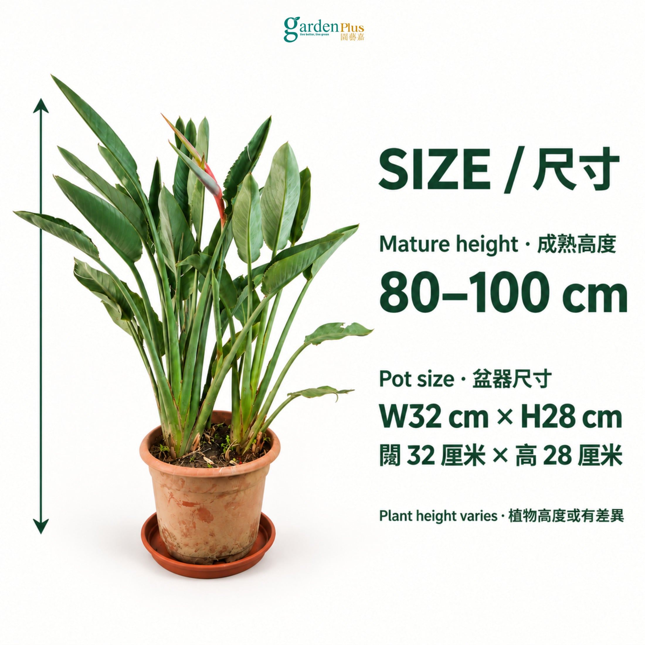 04-size-web