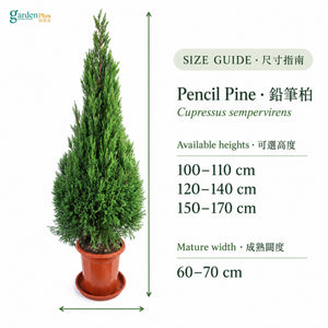 04-size