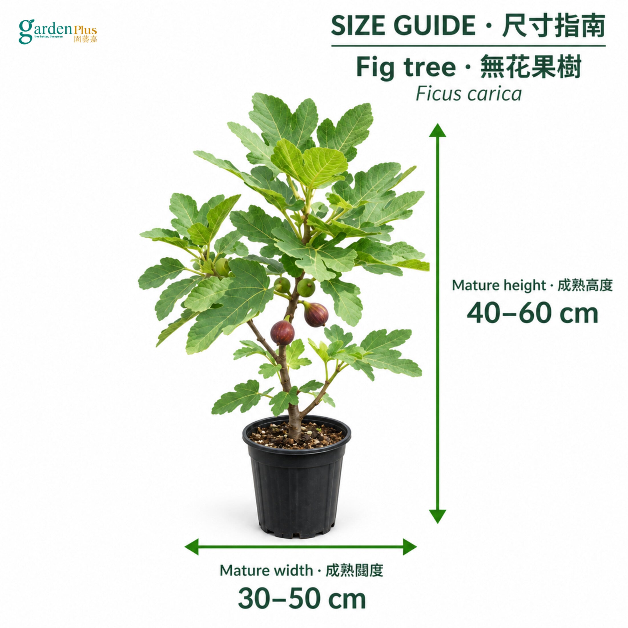 04-size