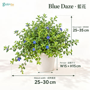 04-size