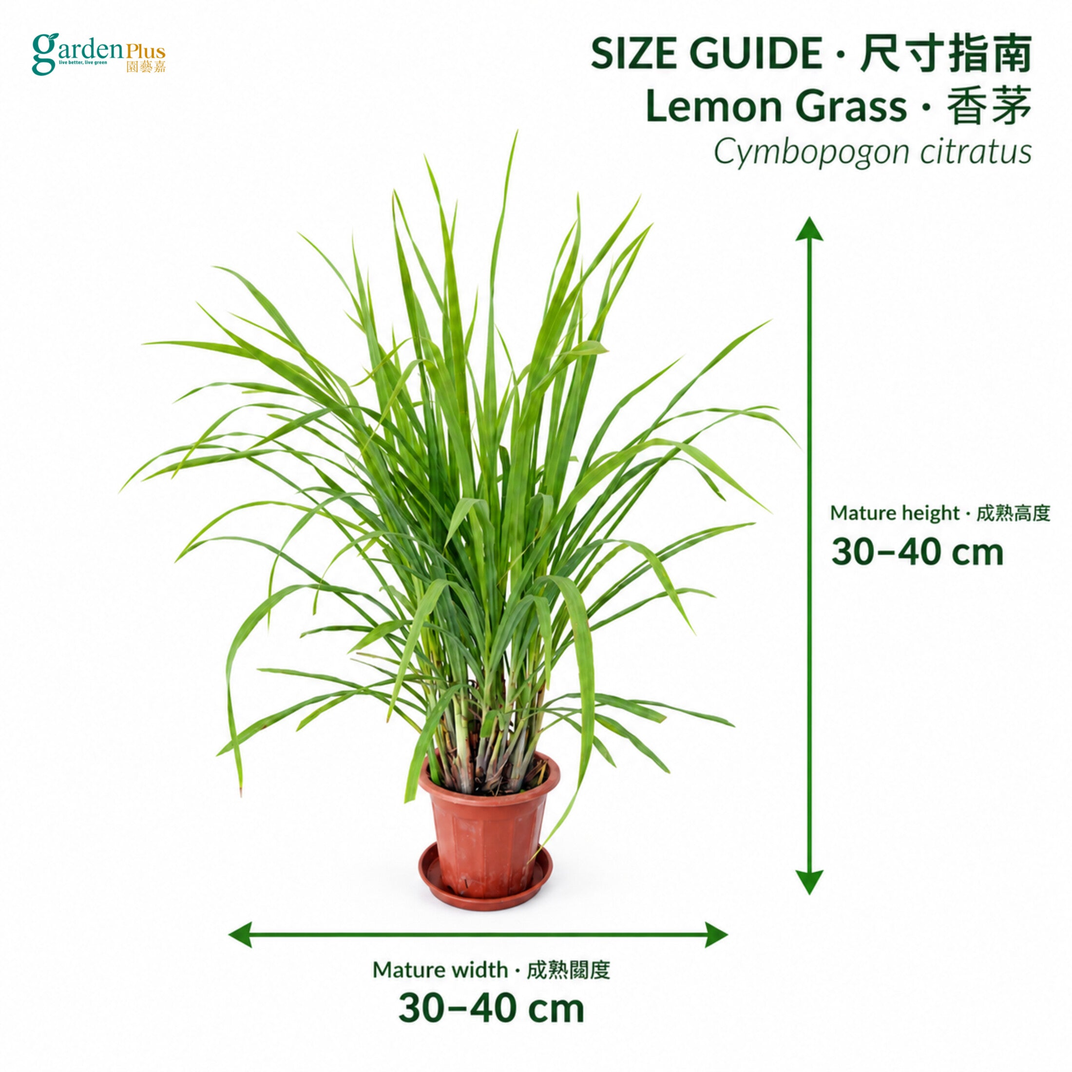 04-size