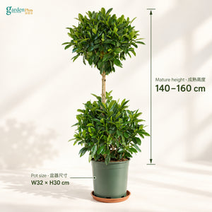 04-size