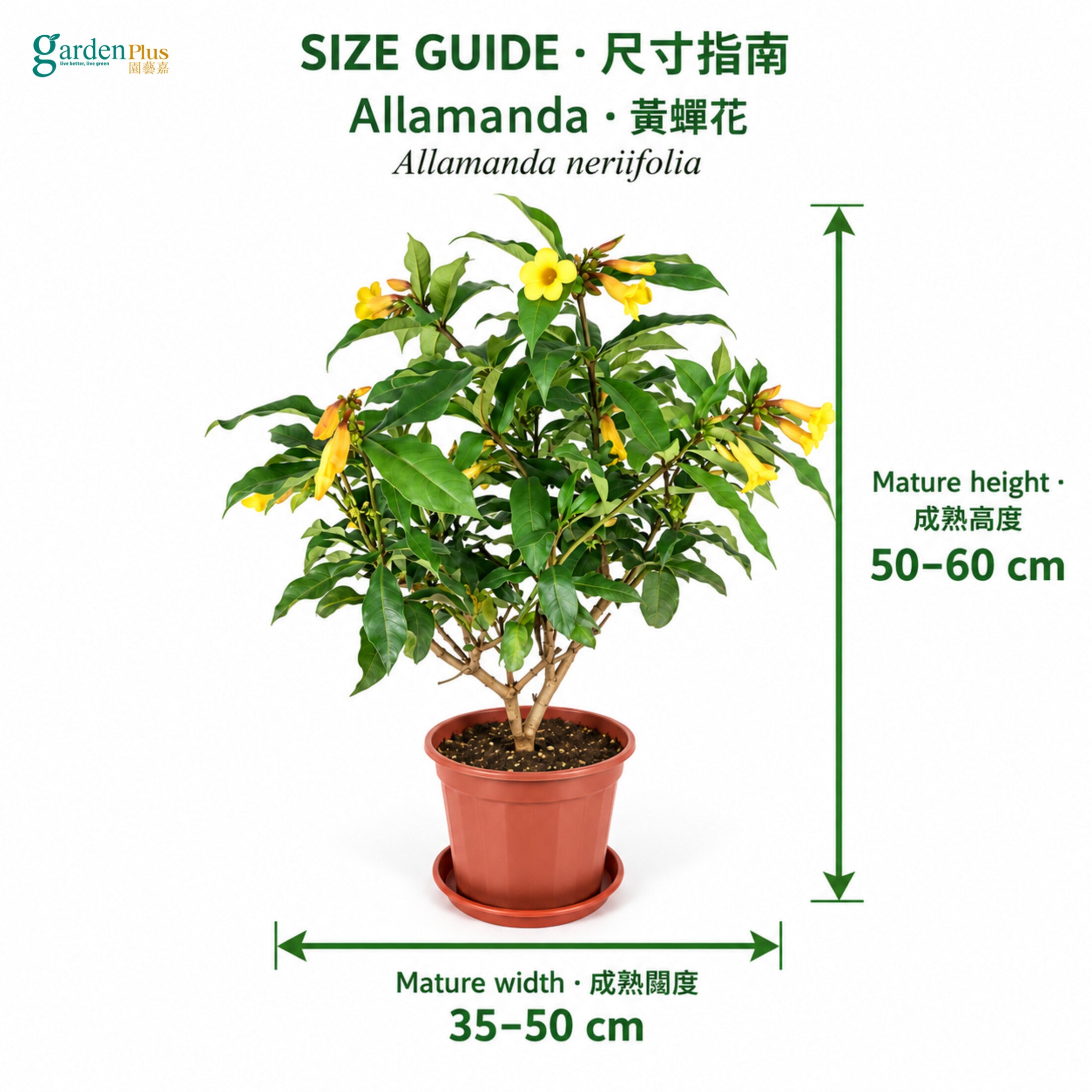 04-size