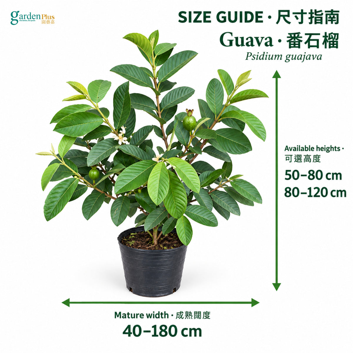 04-size