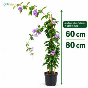 04-size