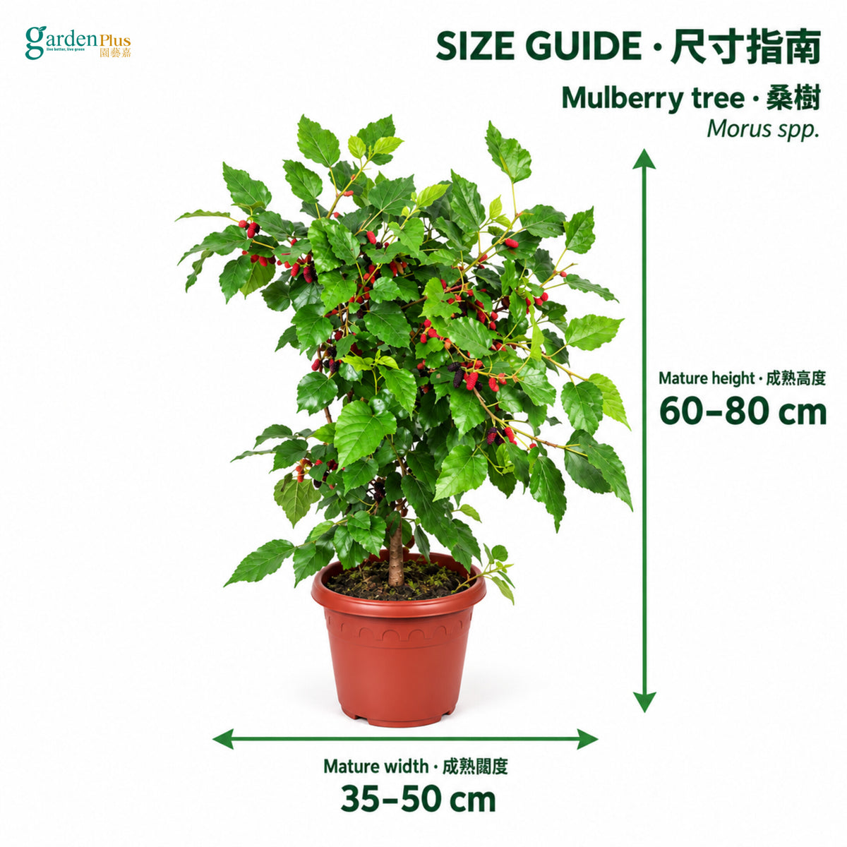 04-size