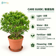05-care-web