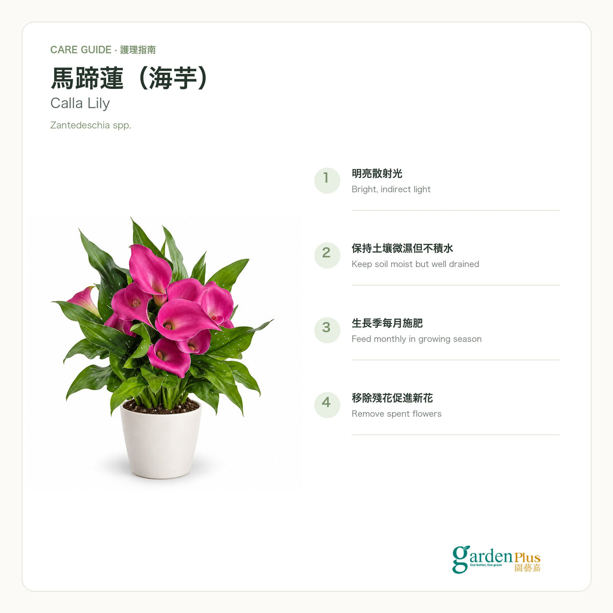 05-care-web