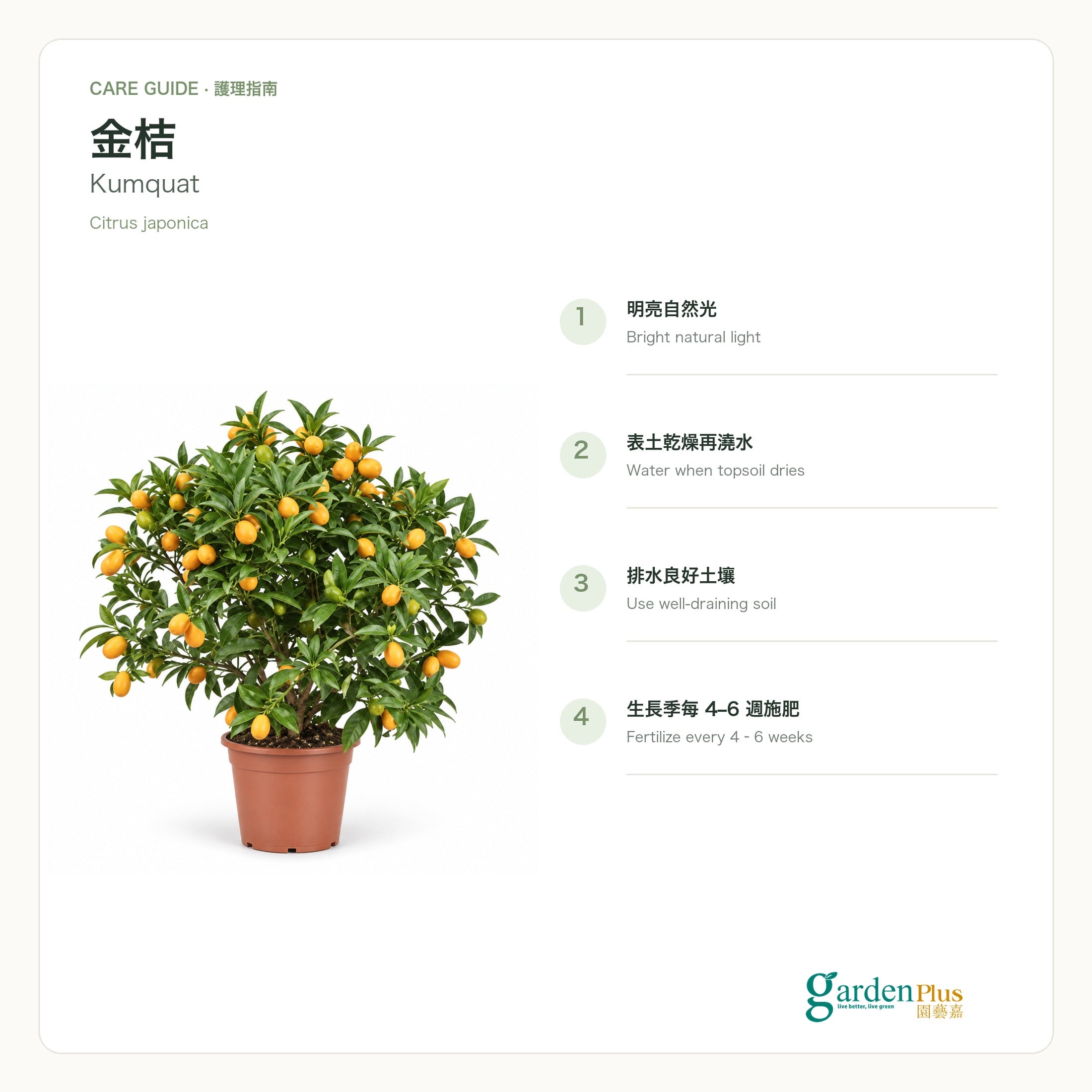 05-care-web