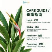 05-care-web