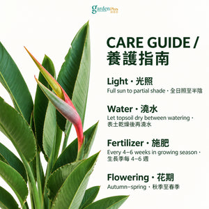 05-care-web