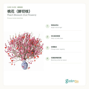 05-care-web