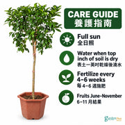 05-care-web