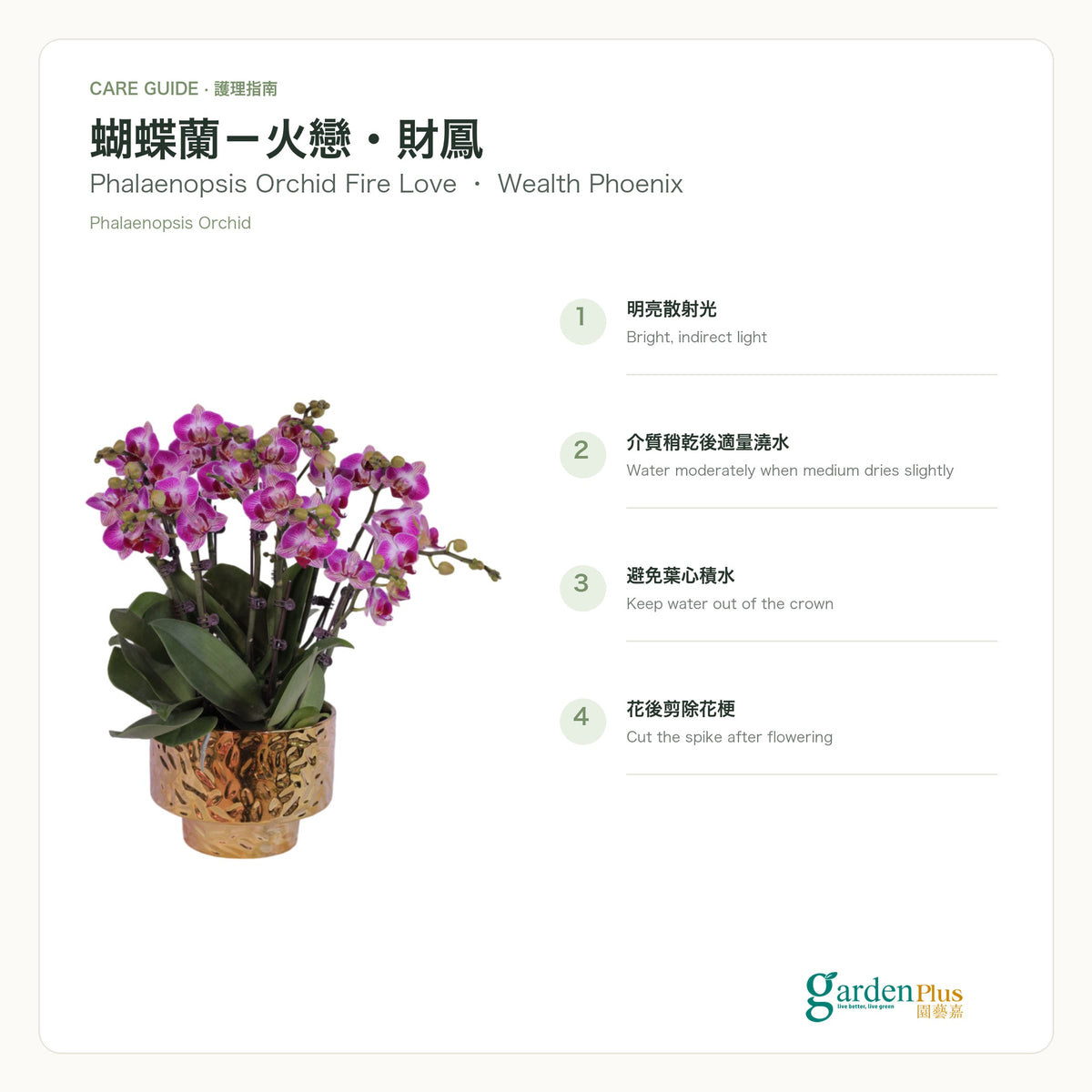 05-care-web